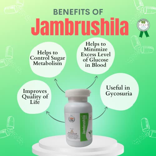Virgo Jambrushila Tablets : For Diabetic Patients, Maintains Normal Blood Sugar and Urine Sugar Levels (100 Tablets)