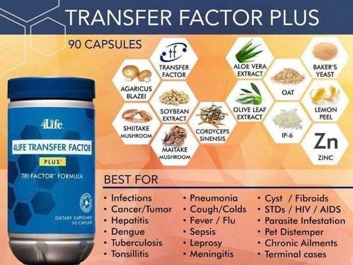 Transfactor 4Life Transfer Factor Plus Tri-Factor Formula 90 Capsules – Uniherbs India