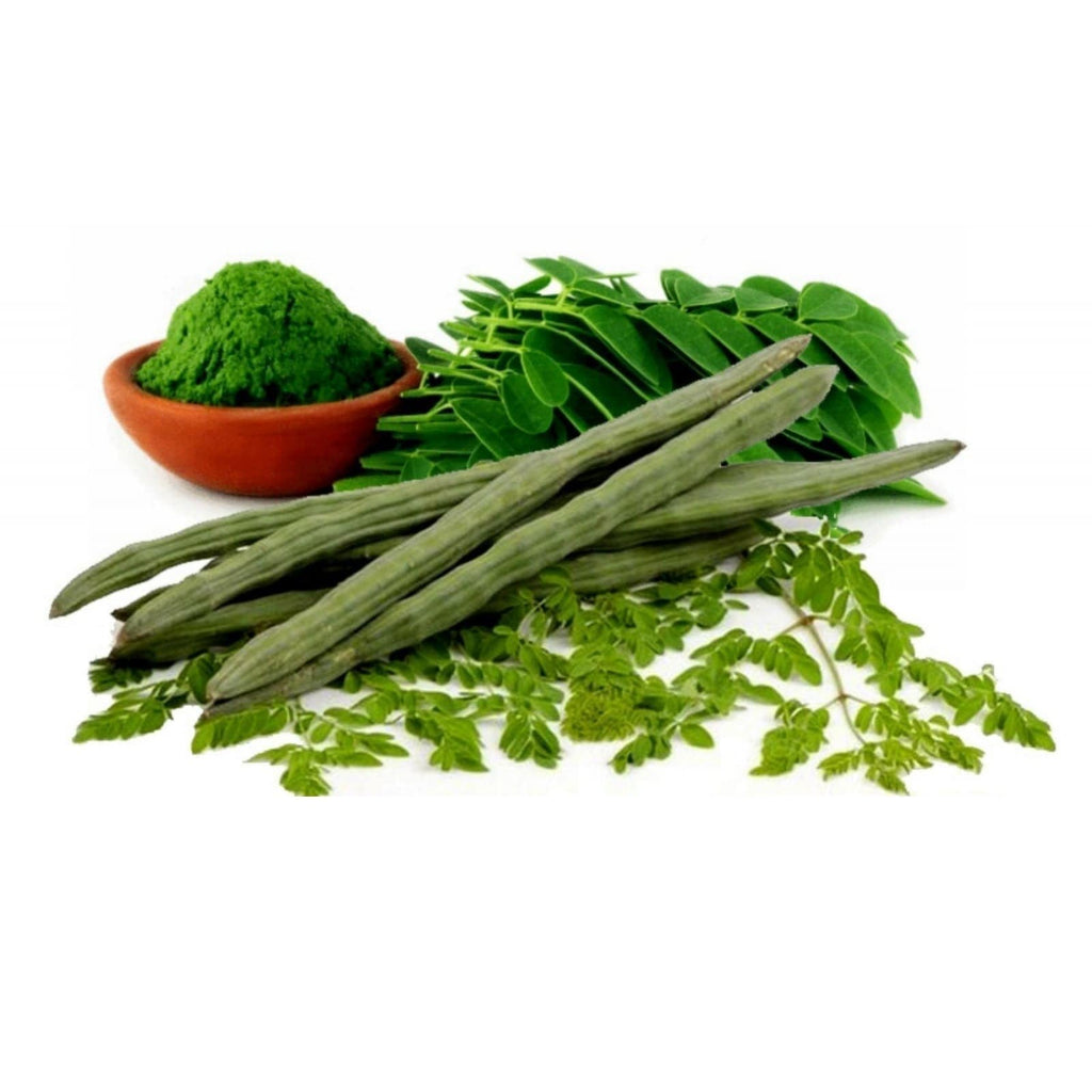 Top 10 Moringa Juice Brands In India Keva Moringa Extract Drops (30 ml) – Uniherbs India